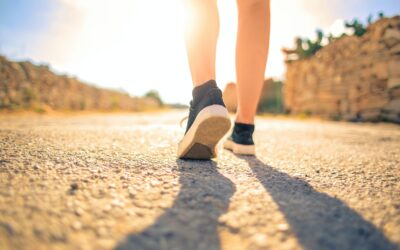 What Should I Do With My Life: Career Directions Everyone Should Know